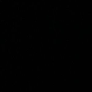 Meet your Posher, Zulema